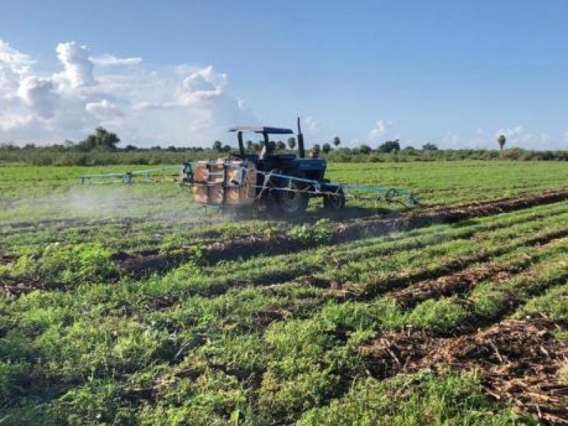 Estado seguirá apoyando a productores temporaleros