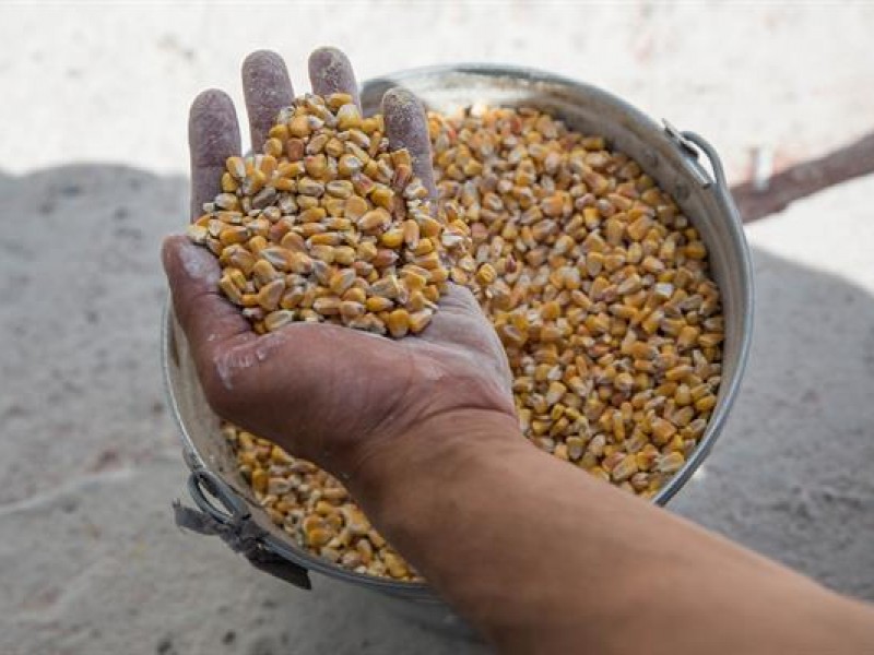 Estados Unidos urge a reiniciar exportación de granos ucranianos