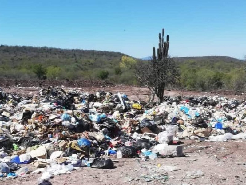 ¡Están saturados! Urge relleno sanitario en Sinaloa municipio