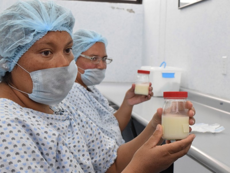 Este año 80 mujeres donaron leche materna en Morelia