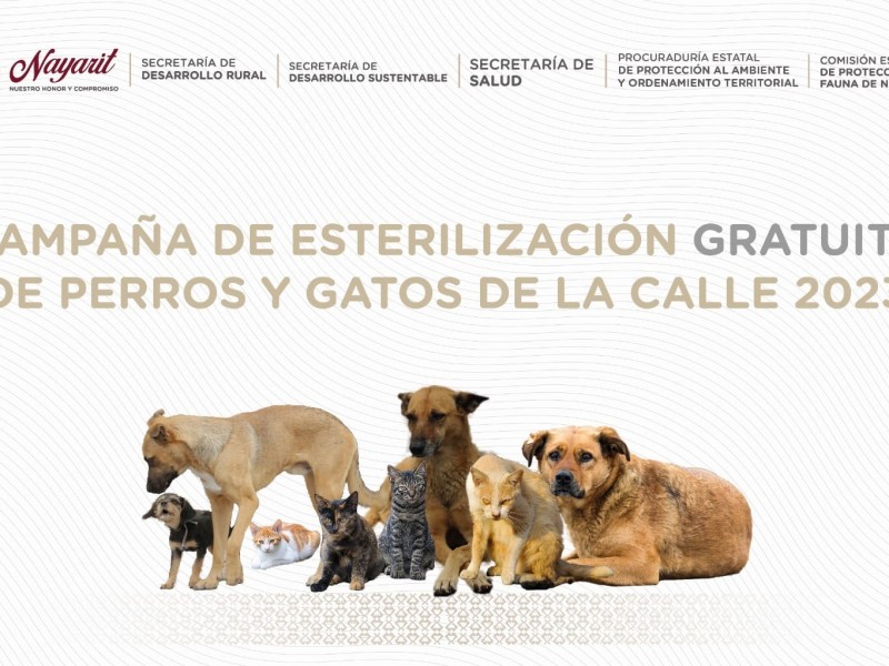 Este fin de semana arrancan las esterilizaciones masivas