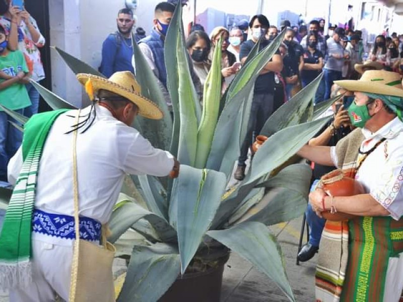 Este fin Feria del Pulque, Mezcal y Asado en Tarímbaro