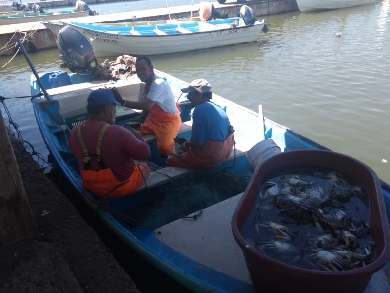 Este lunes se levanta veda para la pesca de jaiba