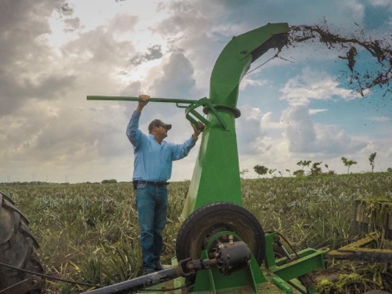 Este lunes, SEDARPA pagará 30MDP a productores