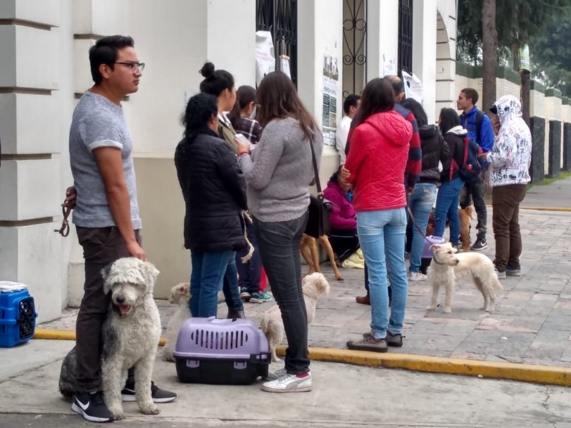 Esteriliza a tu mascota en prepa 