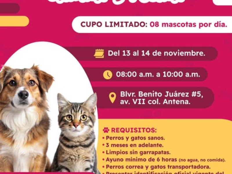 Esterilización gratuita en Guaymas este 13 y 14 de noviembre