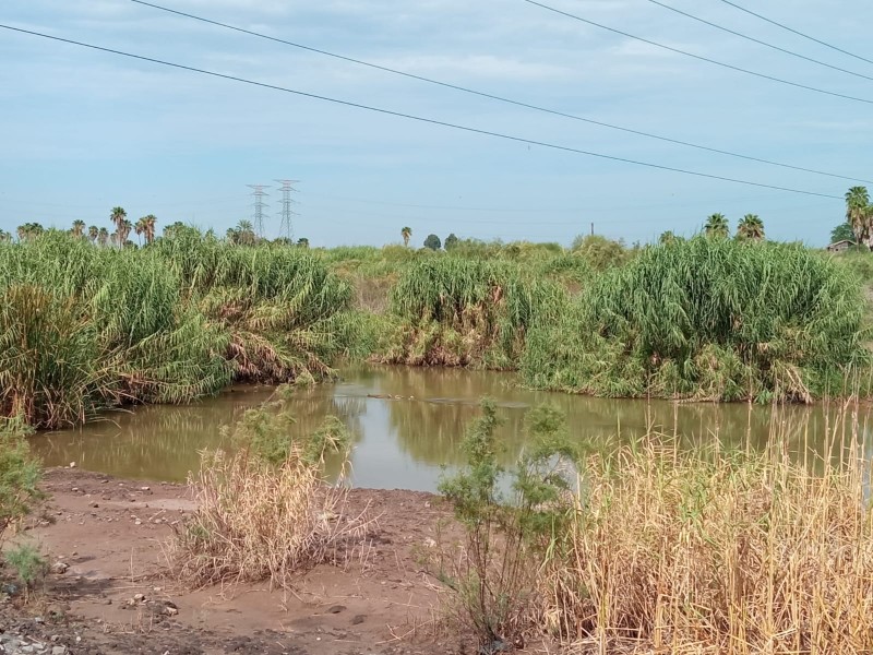 Estero de JJR y su importancia en Bahía de Ohuira