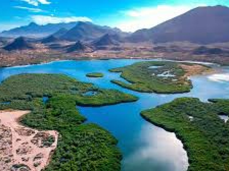 Estero del Soldado un lugar de conservación