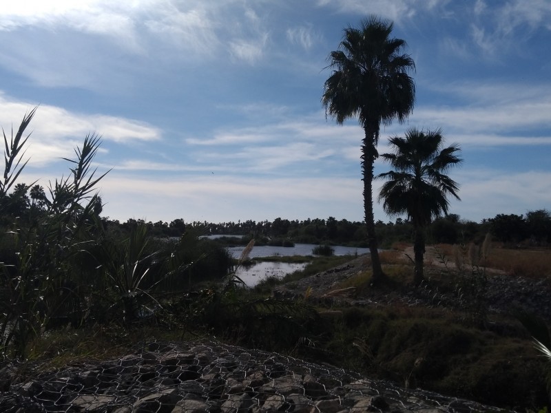 Estero josefino, tema en reunión de Conagua