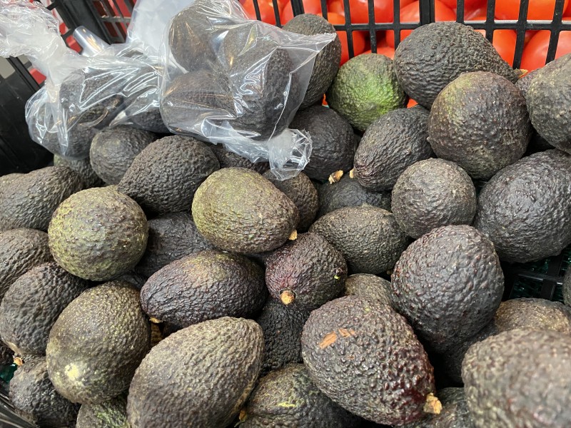 Esto vale el kilo de aguacate y limón en Xalapa