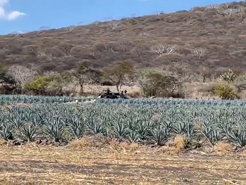 Estremece hallazgo de cinco cadáveres en Pénjamo