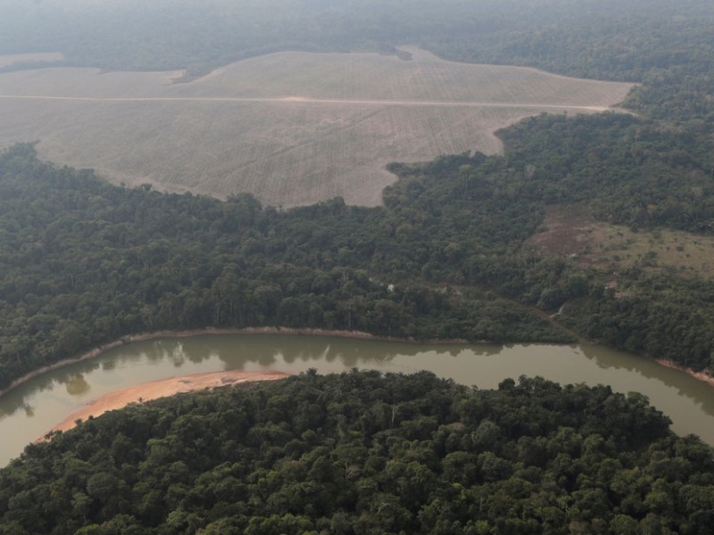 Estudian pérdida de bosques en la Amazonia