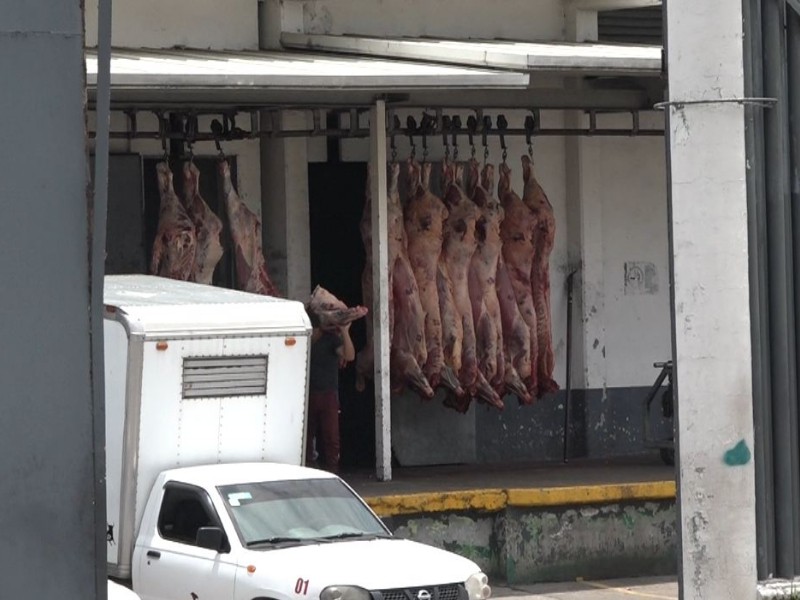 Estudiantes conviven entre malos olores provenientes del rastro municipal Toluca