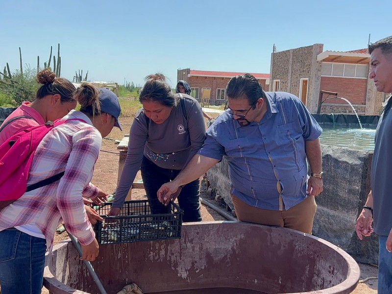 Estudiantes repoblarán embalses del estado con crías de Tilapia