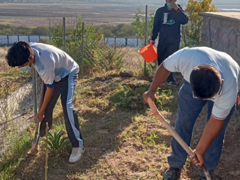 Estudiantes del CECYTEG cuidan huertos escolares en sus planteles