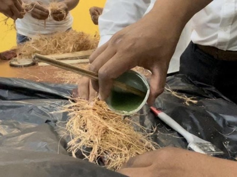 Estudiantes del ITI Crean palas de aerogeneradores con coco
