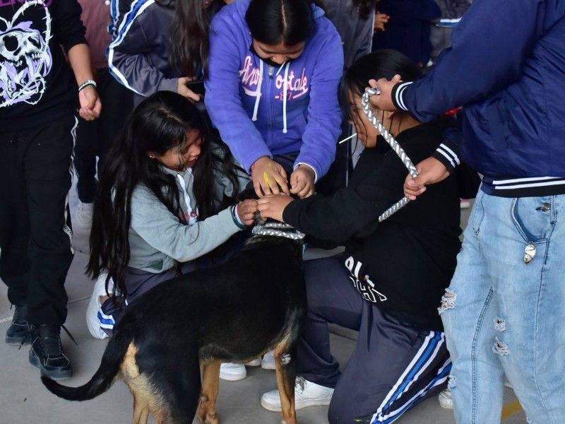 Estudiantes reciben pláticas de sensibilización sobre el cuidado animal