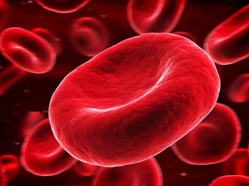 Estudio vincula variabilidad en glóbulos rojos con mortalidad por covid