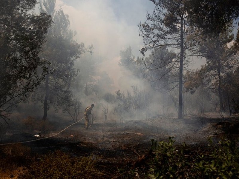 Evacuan a miles por impactante incendio forestal en Francia