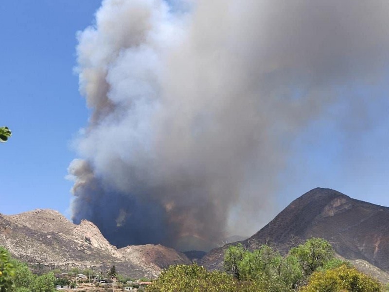 Evacuan Peñasquito por avance de incendio en Mazapil