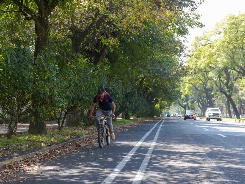 Evaluarán uso de ciclovía en Xalapa