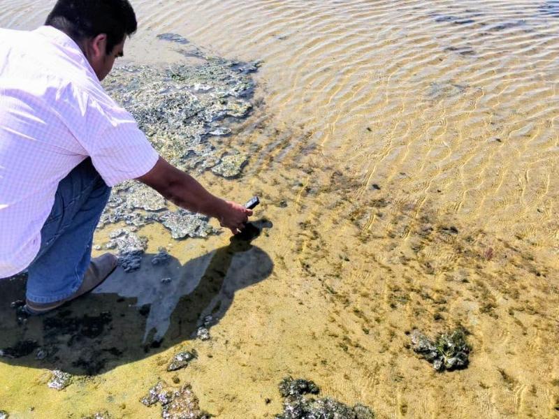 Evalúan lagunas de Santiago Astata para impulsar producción pesquera local