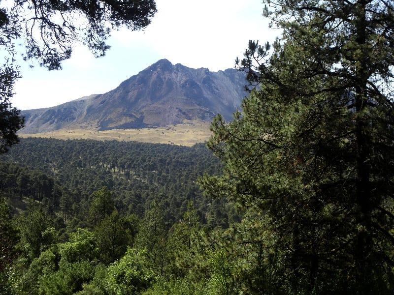 Evalúan reabrir el Nevado de Toluca al público en temporada Invernal