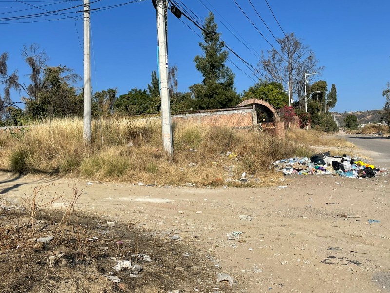 Excesiva basura en el fraccionamiento la Esmeralda