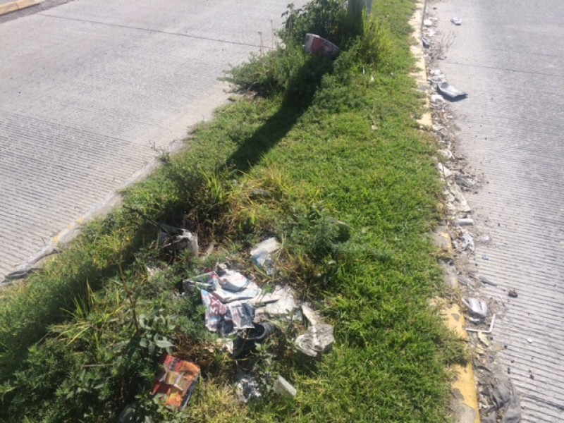 Basura en camellones de Línea 2 de RUTA