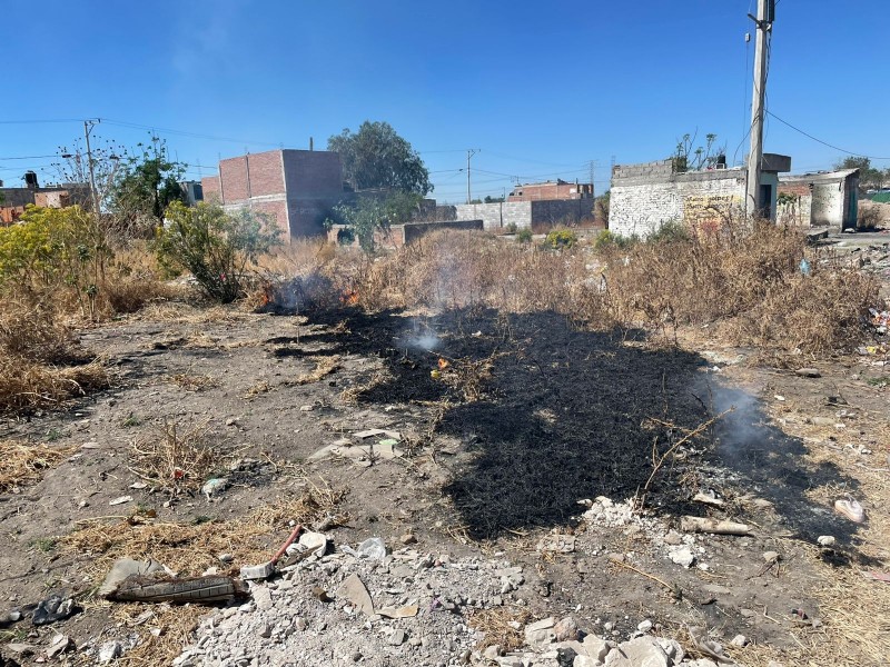 Exceso de quema de hierba en colonia Maravillas