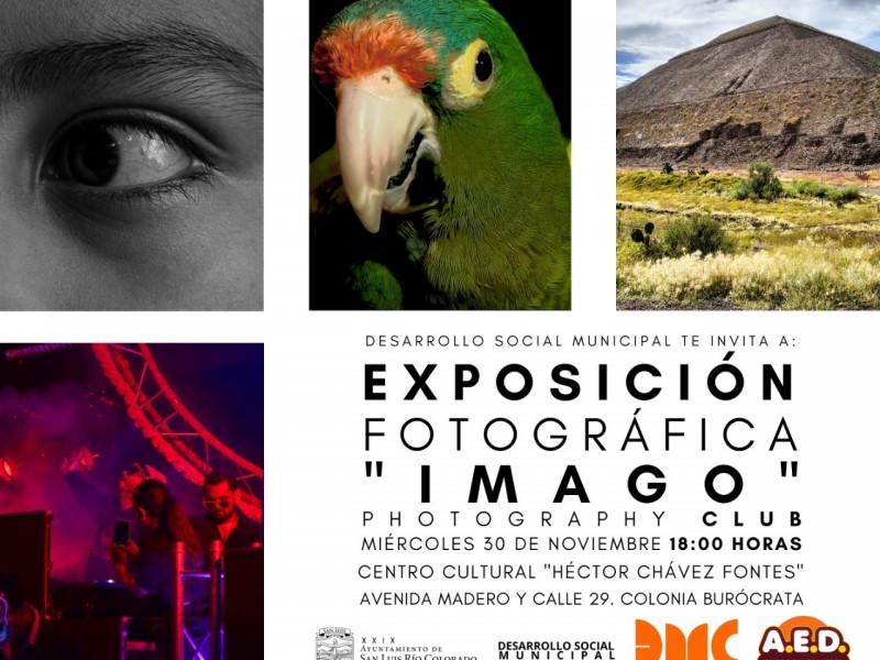 Exhibirá Desarrollo Social exposición artística especial