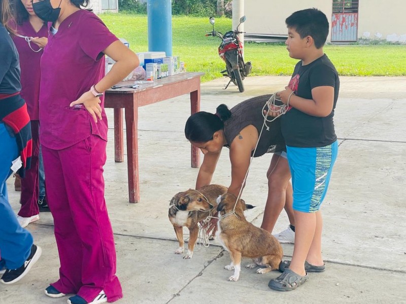 Exhortan a familias a cuidar la salud de sus mascotas
