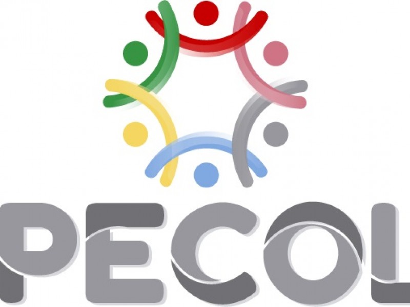 Exhortan a Ipecol a presentar informe