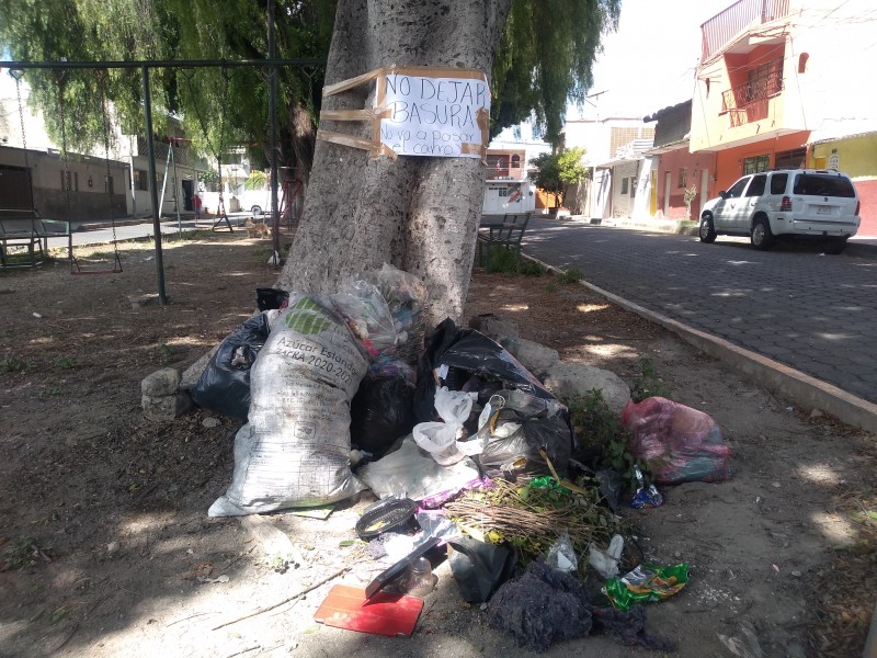 Exhortan a no sacar más basura ante falta de recolección