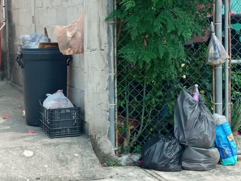 Acumulación de basura podría generar focos de infección