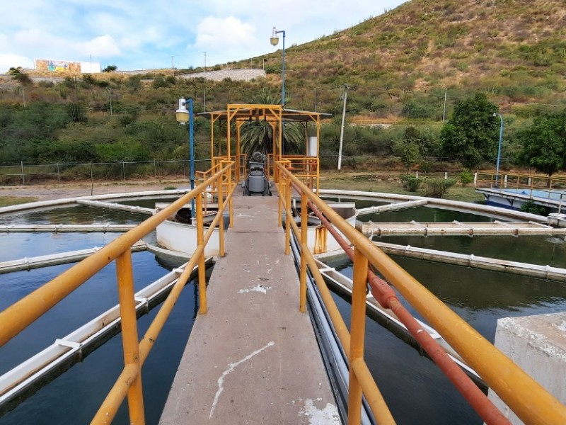 Exigen a Japama agua en cantidad y calidad