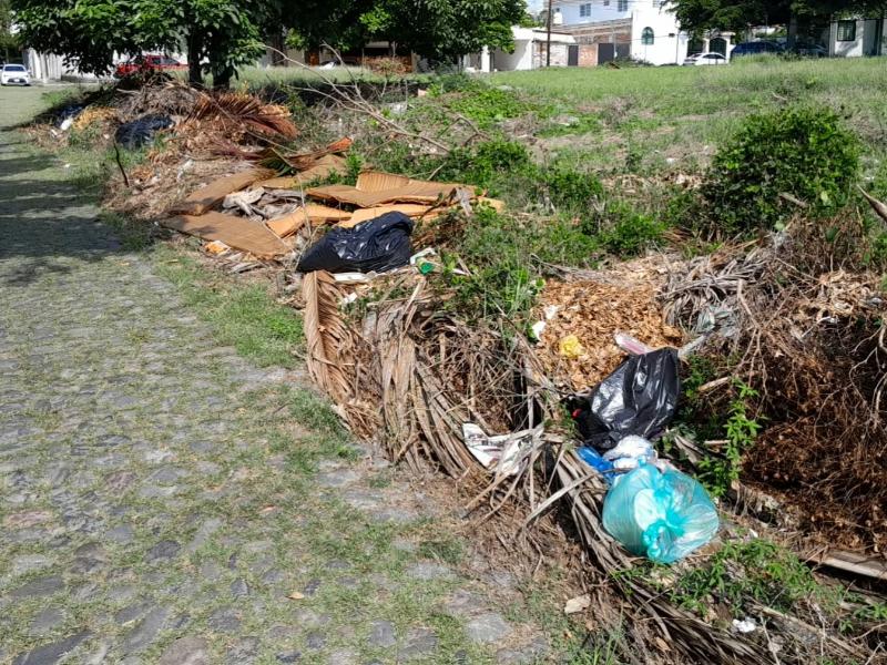Exigen al Ayuntamiento limpiar basurero clandestino en colonia Jardines Vista Hermosa