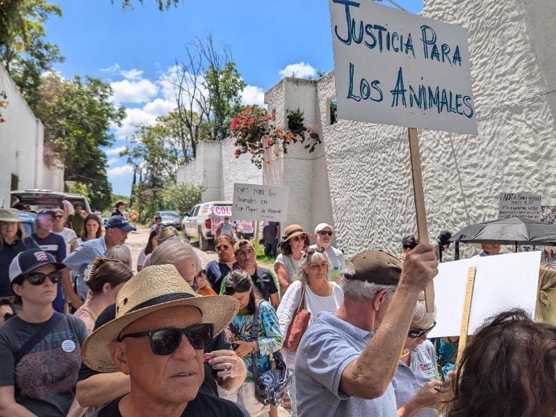 Exigen colectivos rescatar a perros y gatos de albergue embargado en SMA