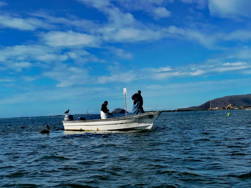 Exigen inspección y vigilancia permanente en litoral ahomense