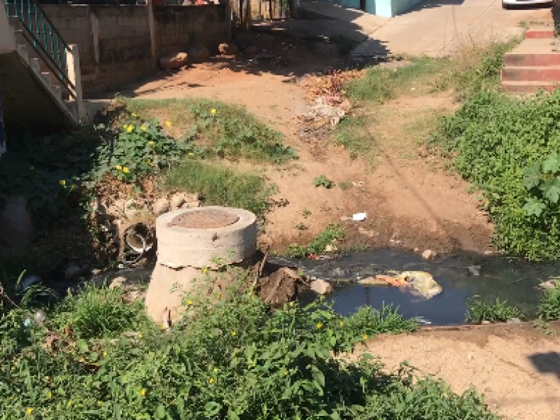 Exigen reparación de puente peatonal en Petatlán