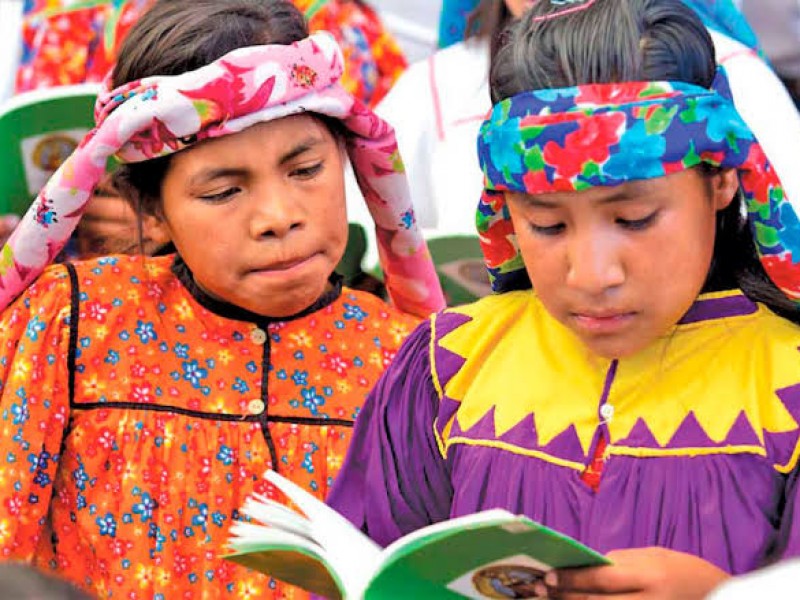 Exigen se cree una dirección de educación indígena