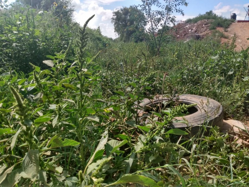 Existe poca concientización ambiental en Zacatecas