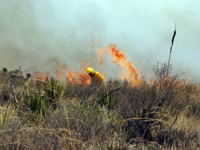 Existen en Chiapas cerca de 700 puntos de calor detectados