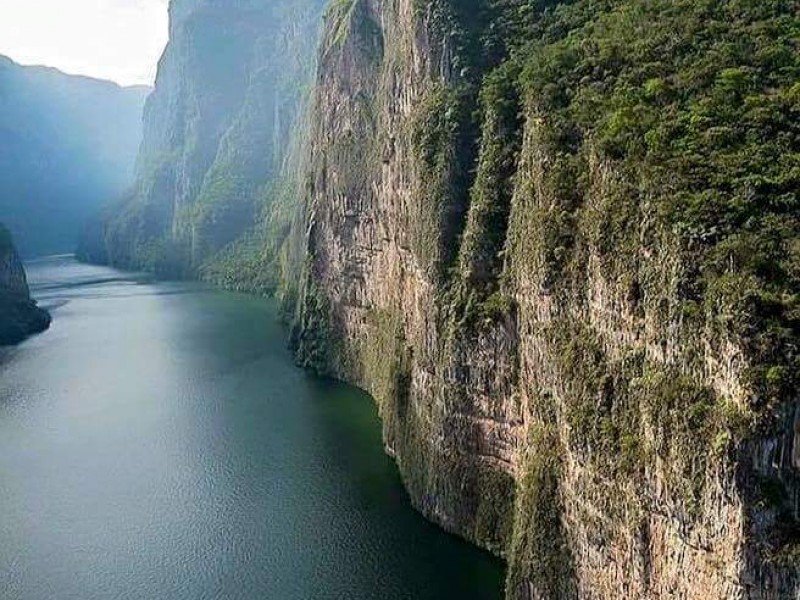 Existen seis invasiones en el Cañón del Sumidero