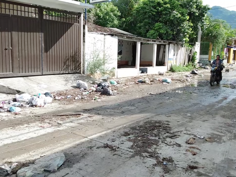 Existen suficientes contenedores de basura para las colonias