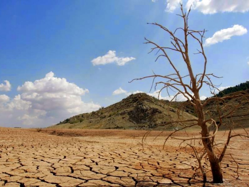 Experto de la UNAM pide acciones contra desertificación