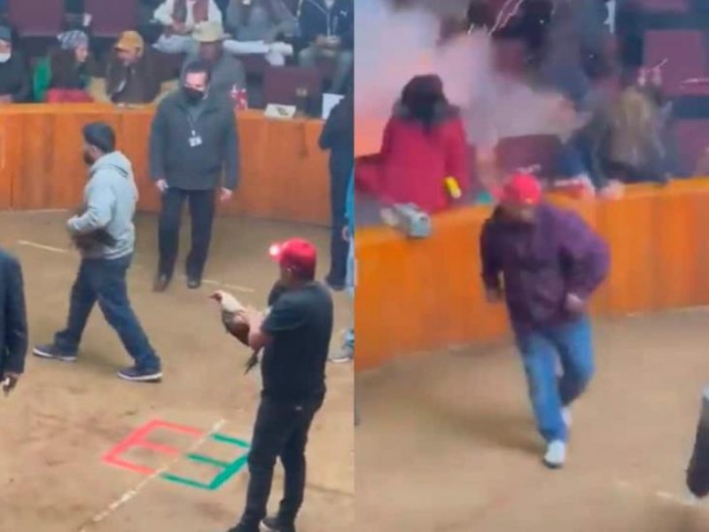 Video: Explota granada durante pelea de gallos en Hidalgo