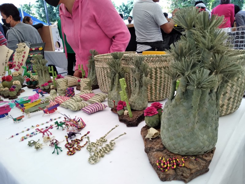 Expo Productores del Campo dejó derrama superior a 120mil pesos