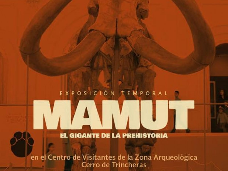 Expondrán al Mamut de Ecatepec en Trincheras, Sonora