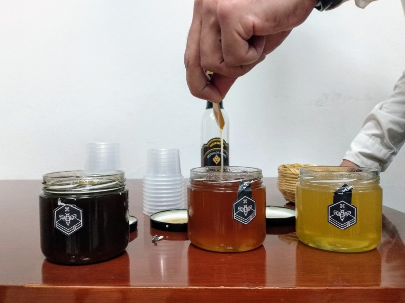 Exportación de miel en Guanajuato está debilitada